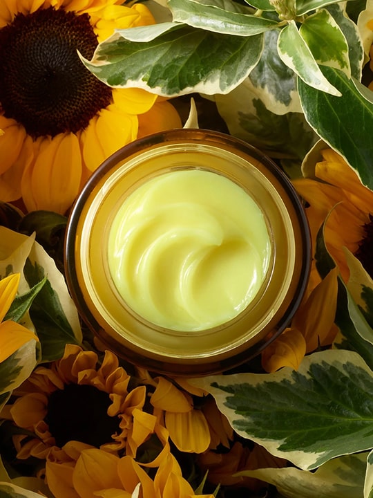 Perfecting Facial Oil 1 - Image 3